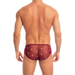 Charlemagne Rouge - Mini Slip -LHOMME INVISIBLE Soldes charlemagne rouge mini slip 4