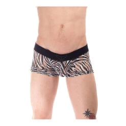 Cory - V Boxer Push Up