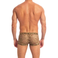 Halcyonique - Hipster Push-up -LHOMME INVISIBLE Soldes halcyonique hipster push up boxer homme dentelle 3