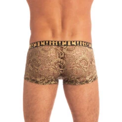 Halcyonique - Hipster Push-up -LHOMME INVISIBLE Soldes halcyonique hipster push up boxer homme dentelle 4