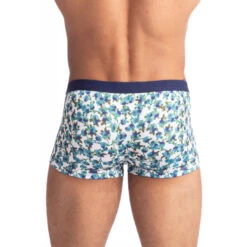 Myosotis - Hipster Push Up 9 Myosotis - Hipster Push Up -LHOMME INVISIBLE Soldes myosotis hipster push up homme 2