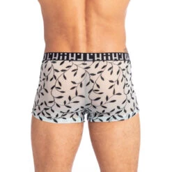 Olivier - Hipster Push Up -LHOMME INVISIBLE Soldes olivier hipster push up homme 2