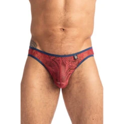 Red Dahlia - Mini Slip