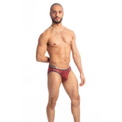 Red Dahlia - Mini Slip -LHOMME INVISIBLE Soldes red dahlia mini slip hommes 4