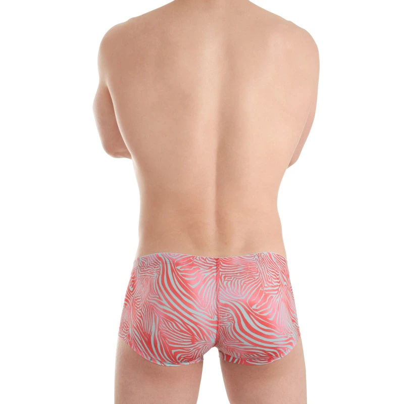 Red Zebra Miniboxer 5 Red Zebra Miniboxer – Image 3