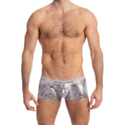 Silver Python - Hipster Push-Up -LHOMME INVISIBLE Soldes silver python hipster push up boxer homme 3