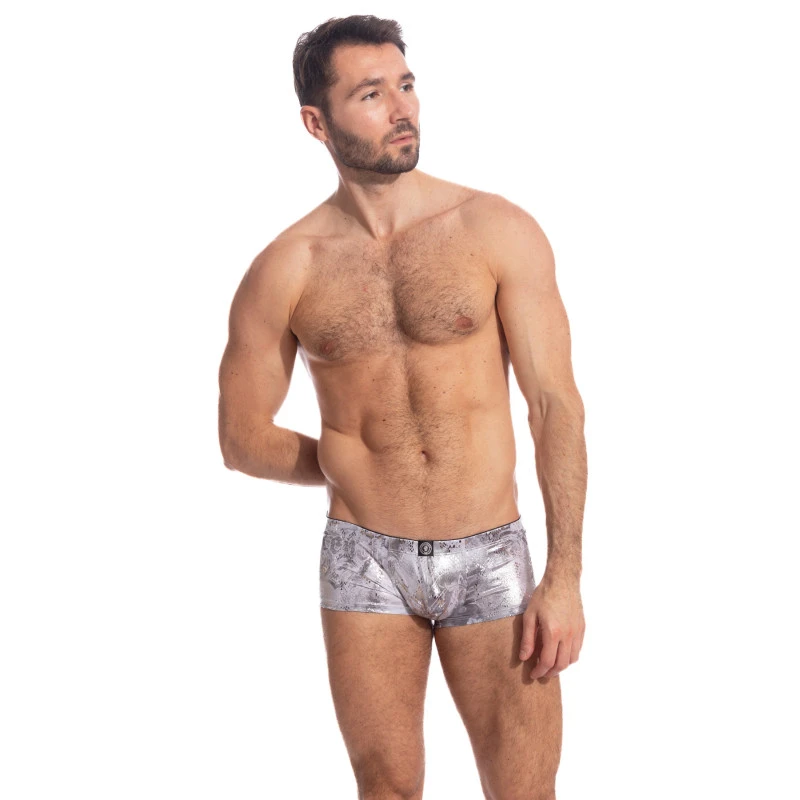 Silver Python Miniboxer 4 Silver Python Miniboxer – Image 2