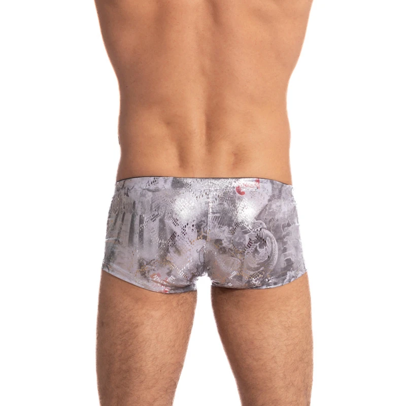 Silver Python Miniboxer 7 Silver Python Miniboxer – Image 5